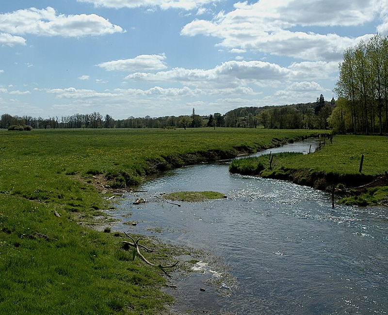 Image d’illustration du département Allier (03)