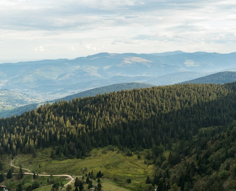 Image d’illustration du département Allier (03)